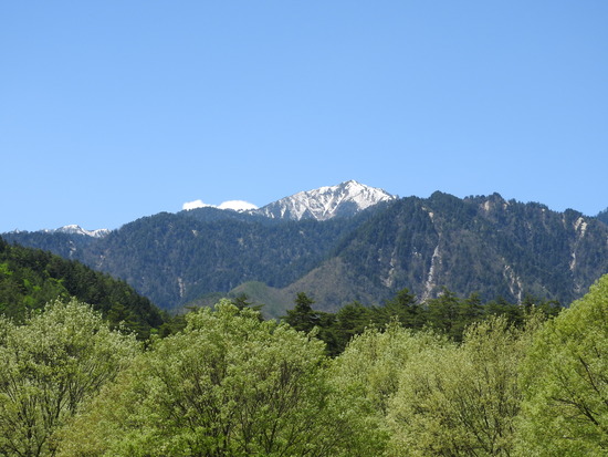 DSCN7801