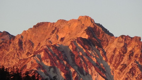 DSC00694