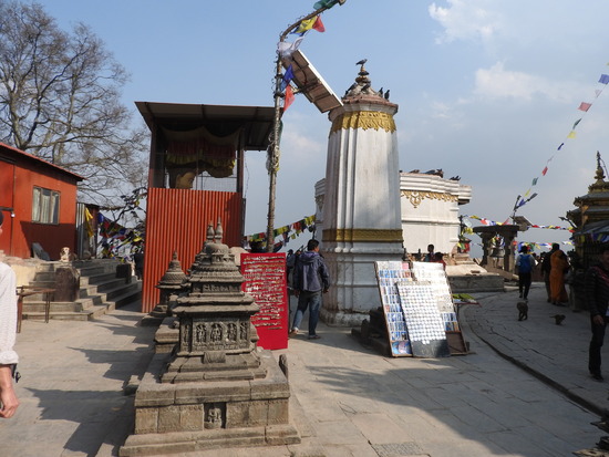 DSCN3607