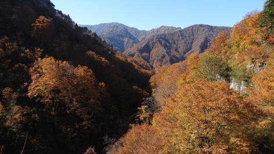 DSCN4108