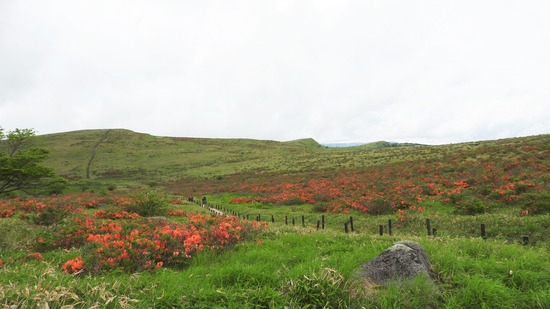 DSCN6599-1