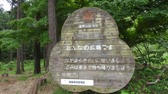 DSCN2414