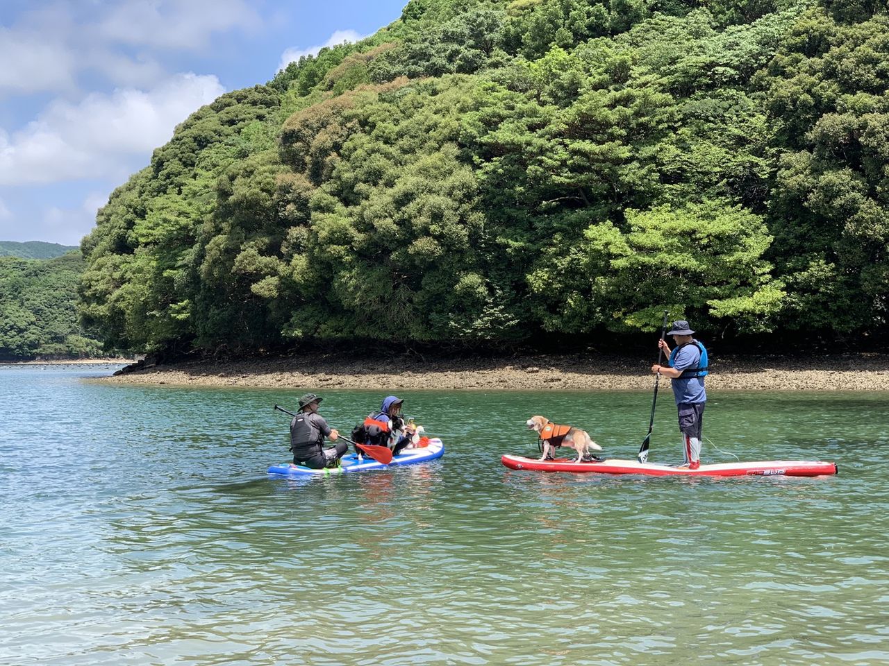 19年07月15日 唐津市肥前町 いろは島 sup奮闘記 Since12 4 14 19年07月15日 唐津市肥前町 いろは島 sup奮闘記 Since12 4 14