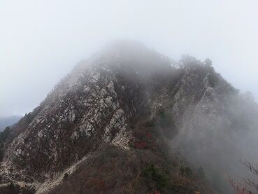 DSCF2481