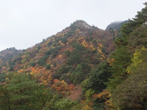 DSCF2473