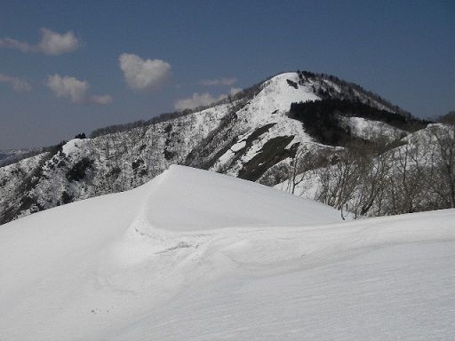 イメージ 14