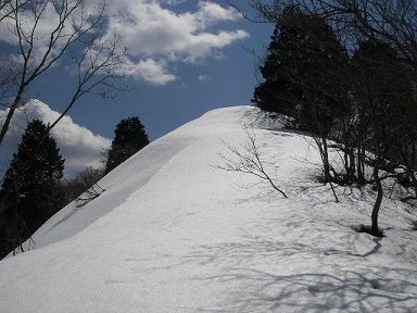 イメージ 25