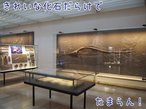 館内の様子