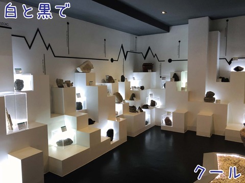 地質時代の流れにそって岩石や化石が展示されている