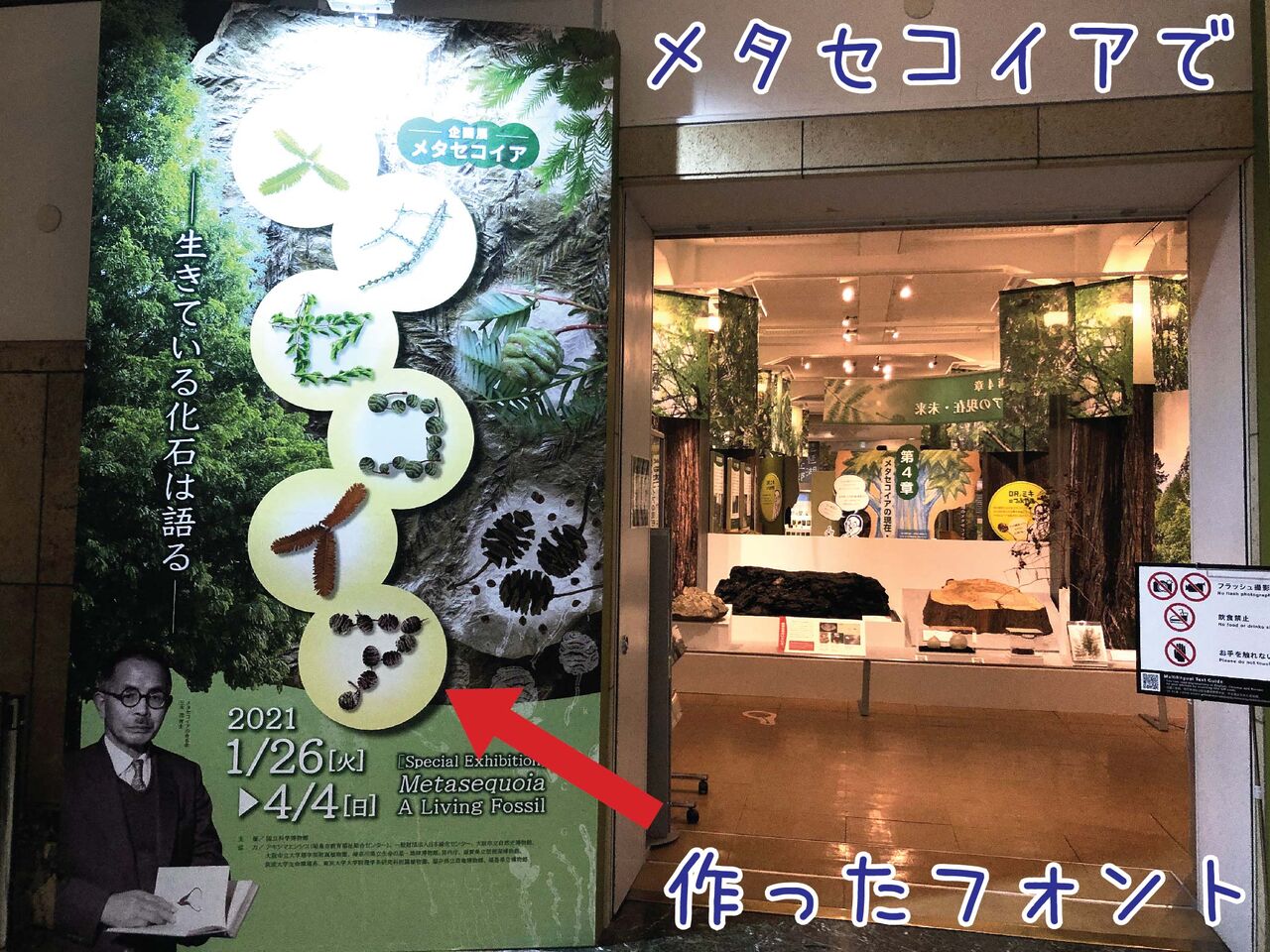 しれっとそこにあるシーラカンス級のストーリー メタセコイア ゆるジオ