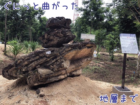 褶曲した地層の岩塊