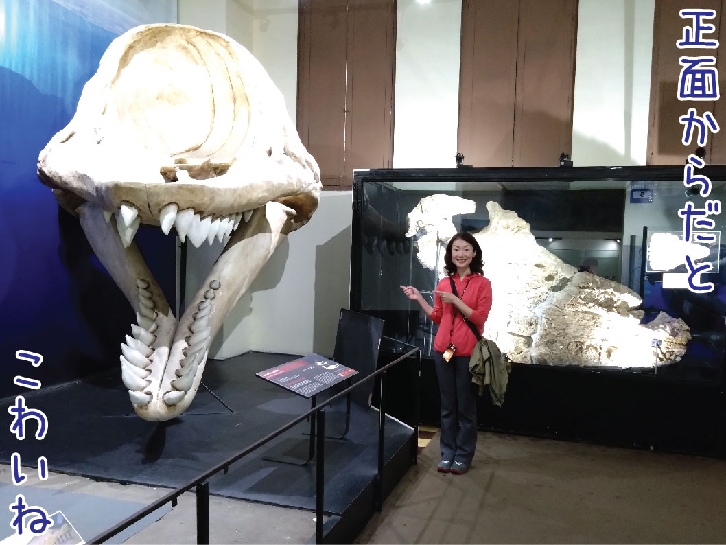 40年前に購入の唐墨 九霞山房 【公式通販】