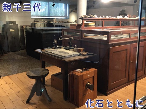 化石を研究していた昔の道具などの展示
