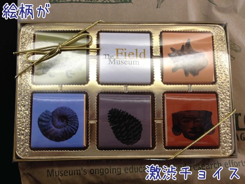 フィールドミュージアムのチョコレート