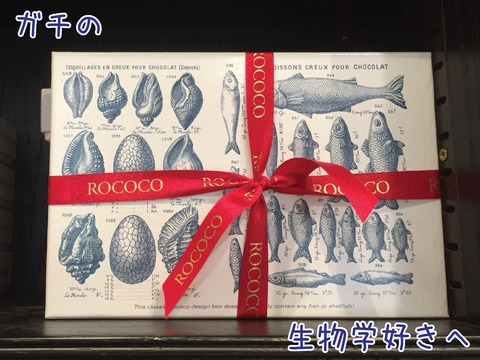 貝と魚の論文の図版風のパッケージのチョコ