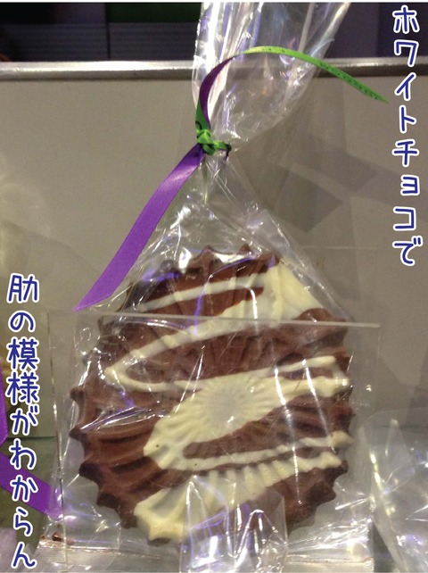 ロンドン自然史博物館のアンモナイトチョコ