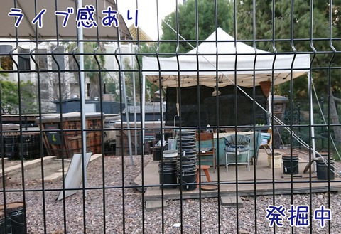 現在も発掘作業が続いている様子