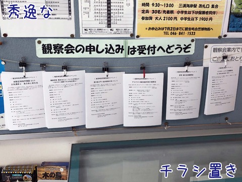 壁につるされた観察会のチラシ