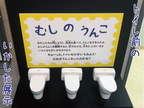 むしのうんこの展示