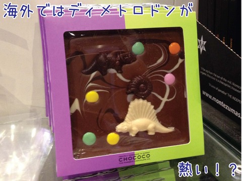 ロンドン自然史博物館の化石チョコレート