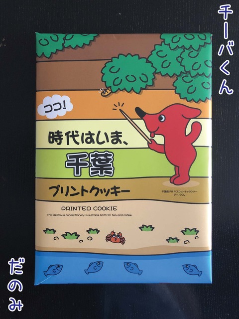 チーバくんの絵が入ったチバニアンクッキーの外箱