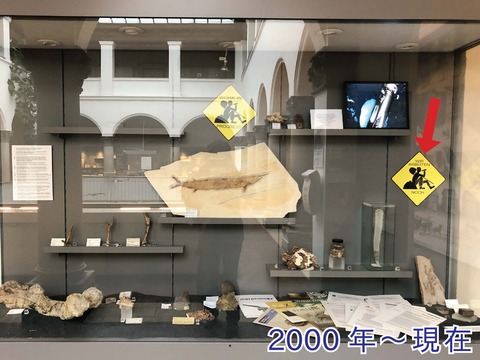 2000年から現在の古生物研究史の展示