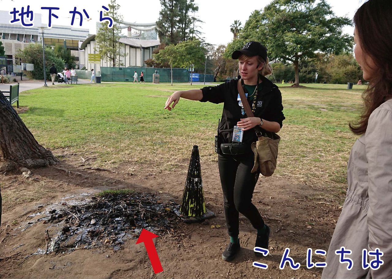 大都会の中でインナーアースを感じる タール ピッツ 博物館 ロサンゼルス ゆるジオ 大都会の中でインナーアースを感じる タール ピッツ 博物館 ロサンゼルス ゆるジオ