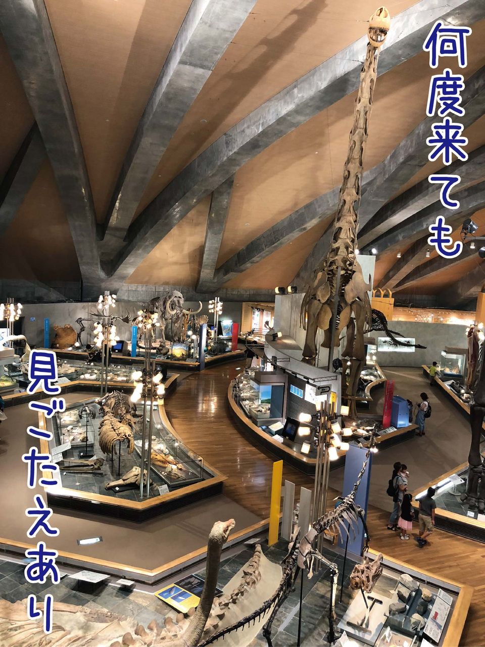 ファンタジー映画のような「化石動物園」ー群馬県立自然史博物館 : ゆるジオ