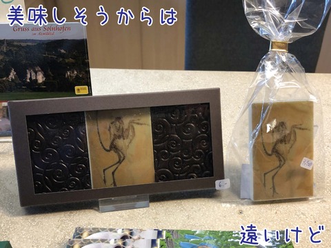始祖鳥の絵とアンモナイト柄がデザインされたチョコ