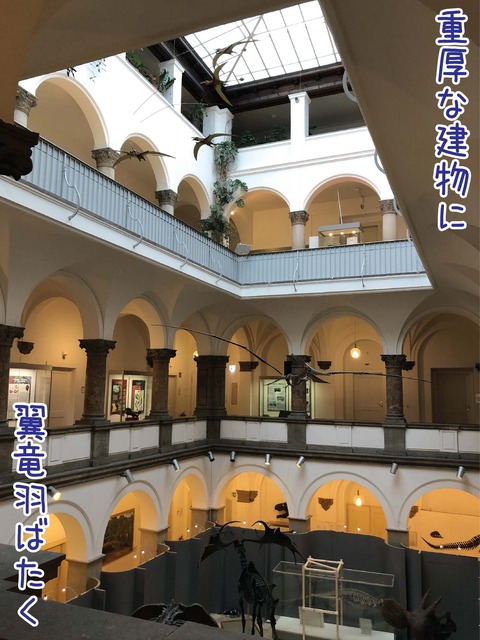 昔の写真と変わらぬ建物に翼竜の標本が飛んでいる
