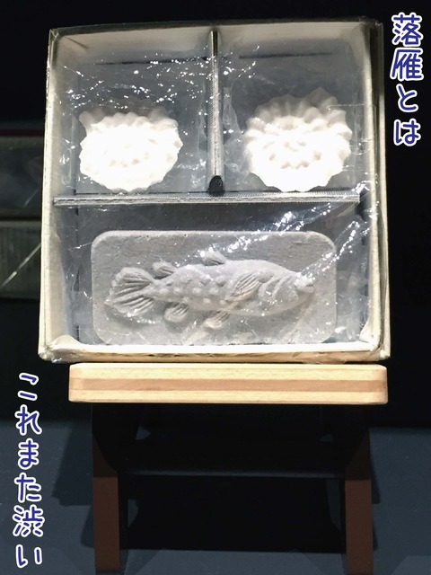 アンモナイトとシーラカンスの形をした落雁