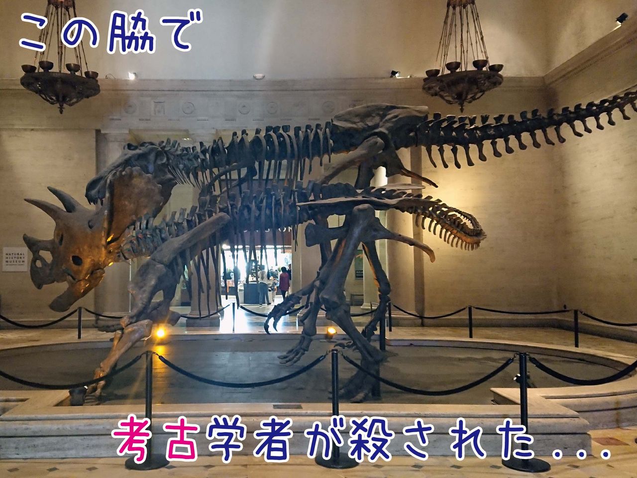 100万回でも言います 考古 じゃないんだってば 古生物 だってば ゆるジオ 100万回でも言います 考古 じゃないんだってば 古生物 だってば ゆるジオ