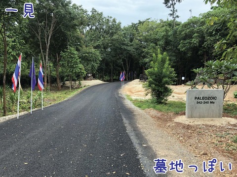 時代ごとの看板