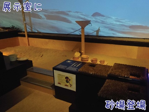 実際に砂場で遊べる砂浜の展示