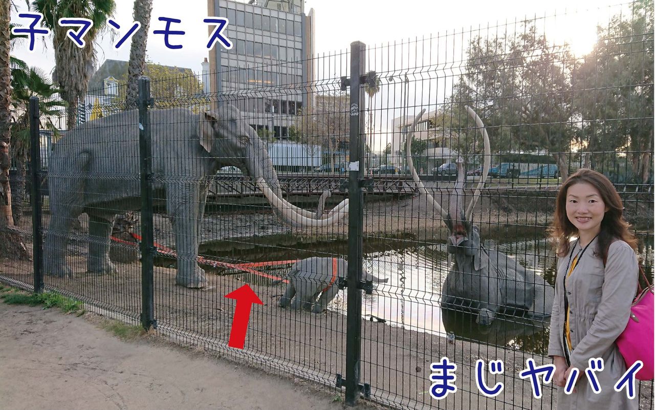大都会の中でインナーアースを感じる タール ピッツ 博物館 ロサンゼルス ゆるジオ 大都会の中でインナーアースを感じる タール ピッツ 博物館 ロサンゼルス ゆるジオ