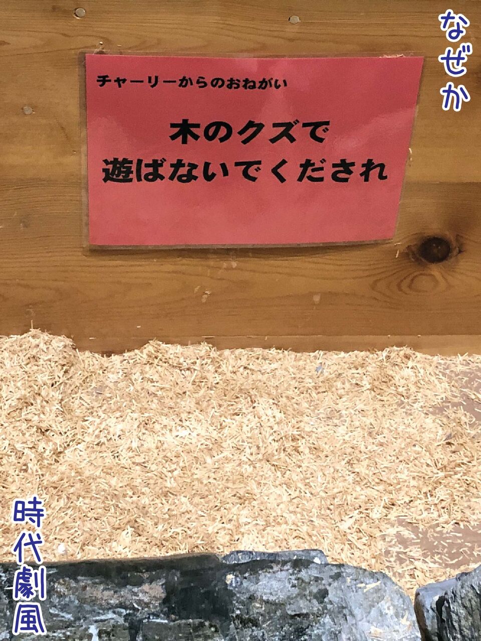 博物館にはリスクがいっぱい 注意事項 から見る悲哀 ゆるジオ 博物館にはリスクがいっぱい 注意事項 から見る悲哀 ゆるジオ
