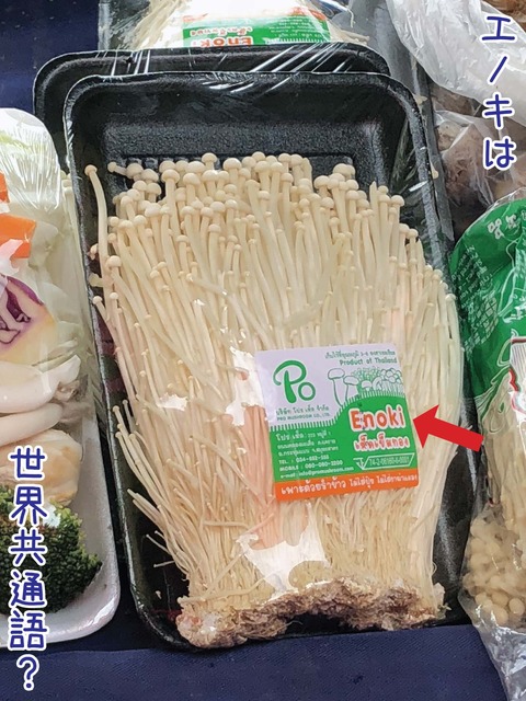 タイの青空市場で売られていた「エノキ」