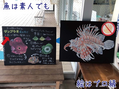 黒板に描かれた魚の絵