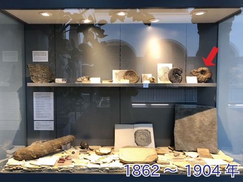1862~1904年のケース