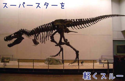 恐竜博2005という展示で日本に来たスーの骨格標本