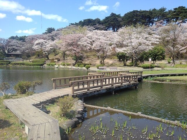 烏ヶ森公園 栃木県那須塩原市 の池の橋と桜に囲まれた景色 スラムのnbaトーク 烏ヶ森公園 栃木県那須塩原市 の池の橋と桜に囲まれた景色 スラムのnbaトーク