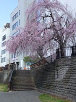 �����쥶����ȳ��ʡ�4��3����