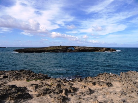 laie1