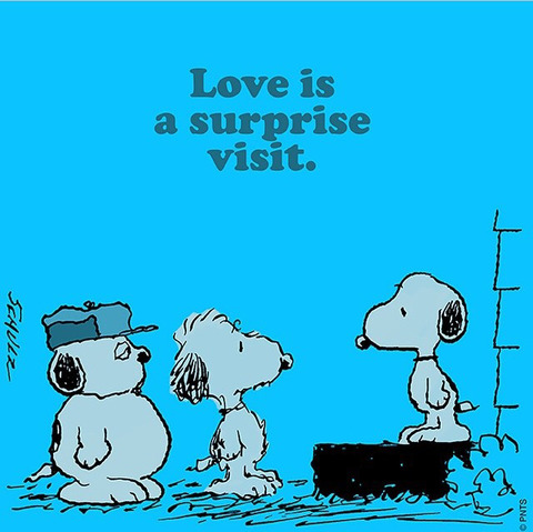 lovesurprise