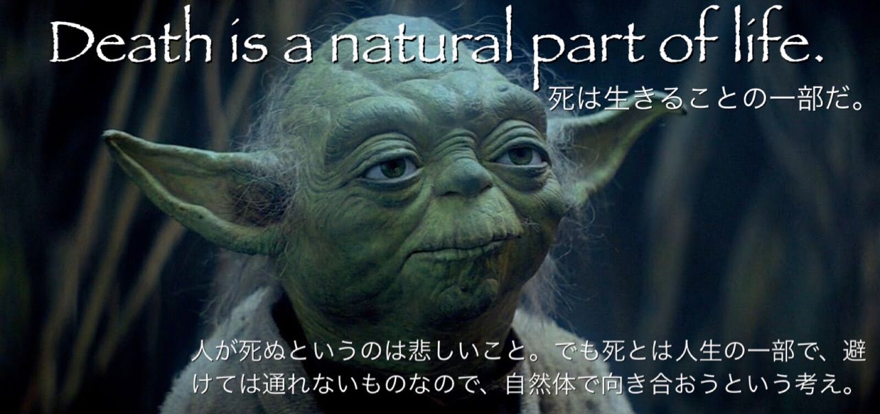 5 4はスターウォーズの日 May The Force Be With You スラング英語 Com