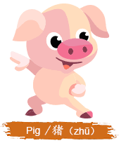 pig1