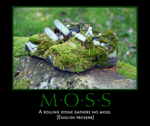 moss