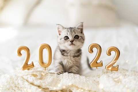 22年1月3日 月 は年賀状配達 集荷される 22年1月2日 日 は年賀状は配達されますか 休み 1月4日 火 からは通常通り スラング英語 Com