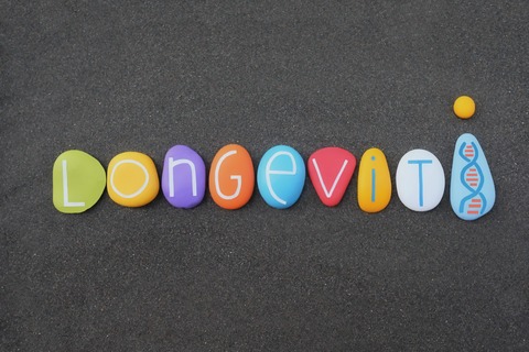 longe