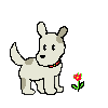 kdog
